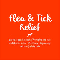TropiClean 2-in-1 Papaya & Coconut Dog Shampoo and Conditioner | Natural Pet Shampoo Derived from Natural Ingredients | Cat Friendly | Made in the USA | 20 oz.