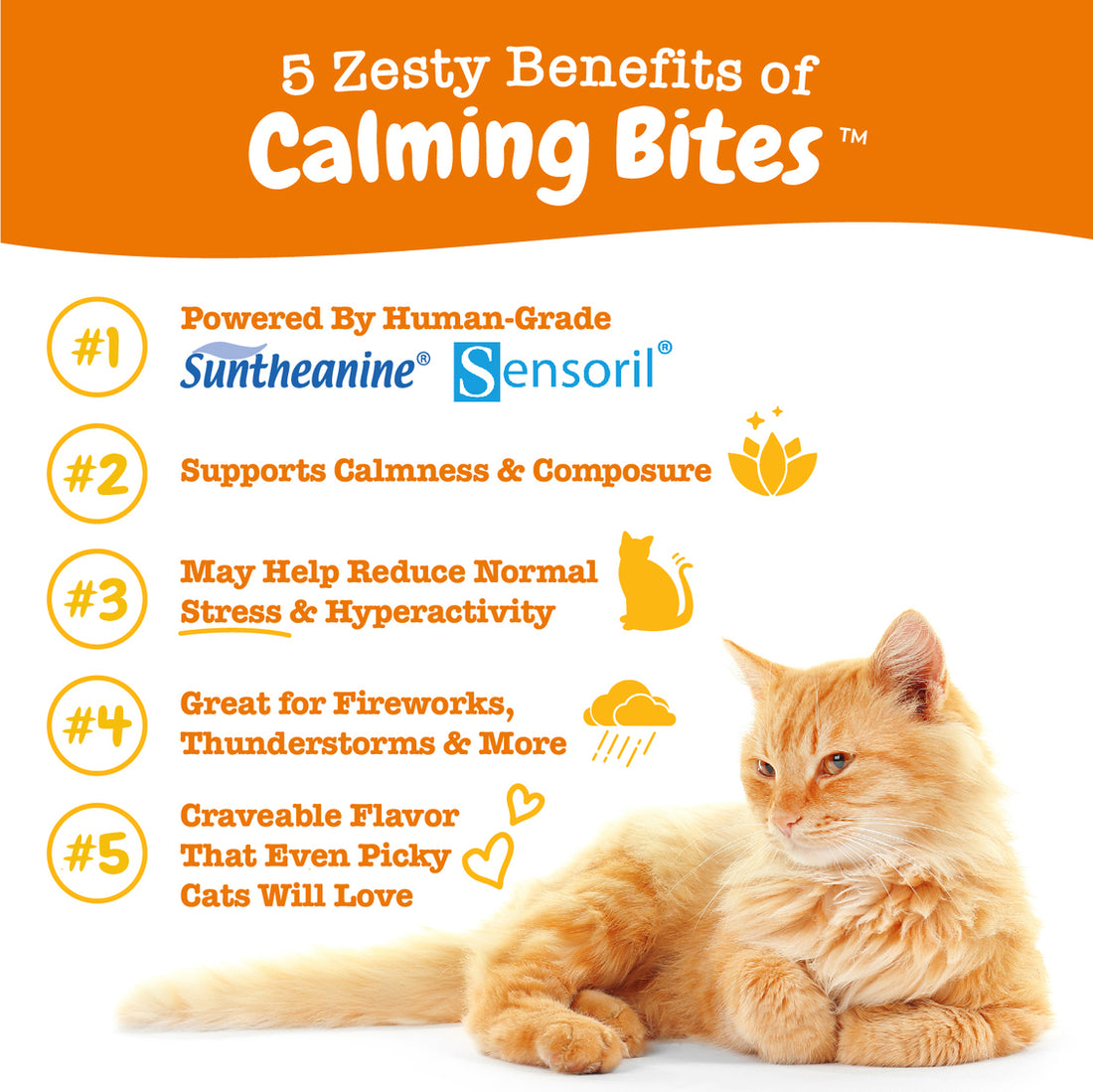 Zesty Paws Calming Bites for Cats, Stress & Anxiety Relief Supplement, Bacon Flavor, 30 Ct Soft Chews