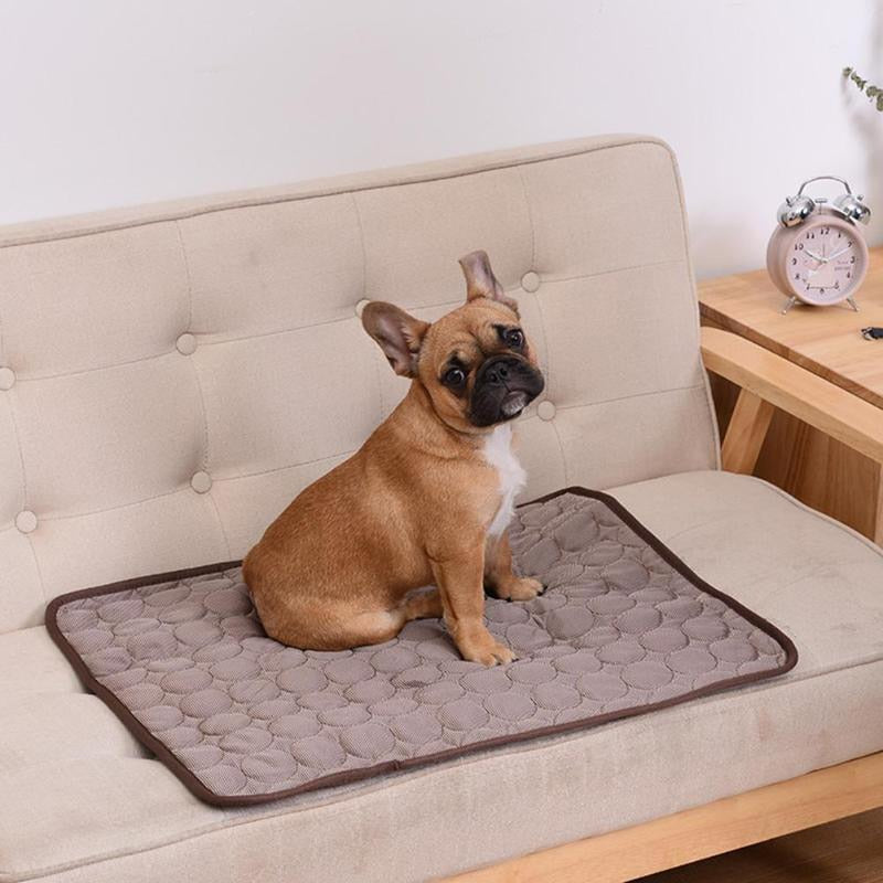 Summer Pet Durable Chill Bed
