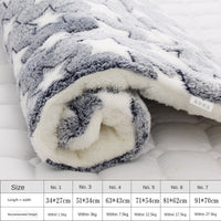 Winter Thicken Soft Pet Mat