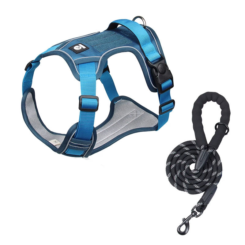 blue dog leash with band