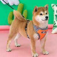 Dog Breast Strap Hand Holding Rope Vest Strap Explosion-Proof Medium-Sized Dog Pet Supplies Shiba Inu Collar Small Dog