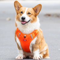 Dog Hand Holding Rope Corgi Dog Leash Chest Strap Collar Pet Medium-Sized Dog Small Size Dogs Vest Dog Chain Walk Dog