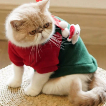 Dog Christmas Clothes Cute Winter Clothes Teddy Bichon Cat Clothes Thickened New New Internet Celebrity