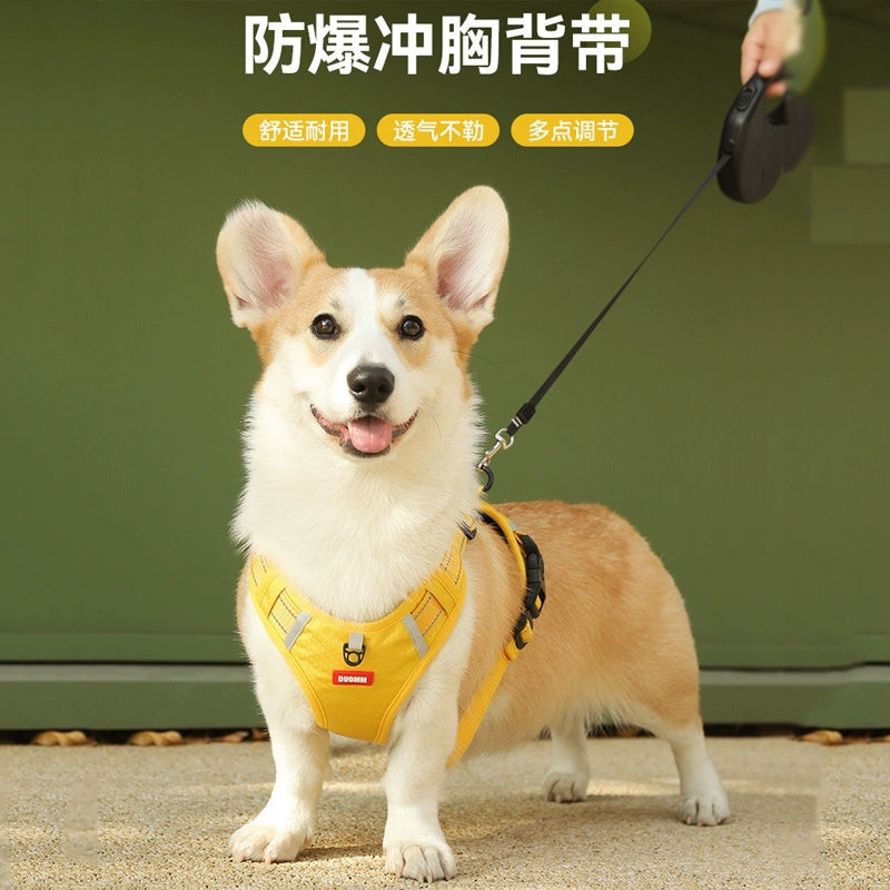 Pet Harness Dog Outing Walking Dog Corgi and Shiba Inu Hand Holding Rope Medium Large Dog Vest Style Explosion-Proof Collar