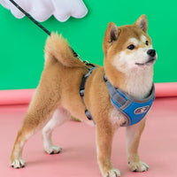 Dog Breast Strap Hand Holding Rope Vest Strap Explosion-Proof Medium-Sized Dog Pet Supplies Shiba Inu Collar Small Dog