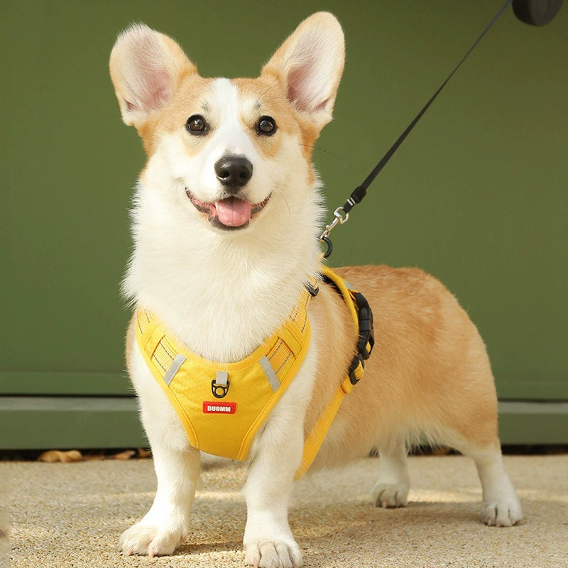 Pet Harness Dog Outing Walking Dog Corgi and Shiba Inu Hand Holding Rope Medium Large Dog Vest Style Explosion-Proof Collar