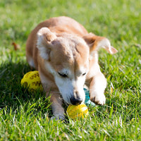 Rubber Dog Ball for Puppies