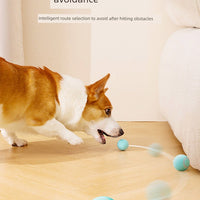 Dog Toy Ball Funny Dog Handy Gadget Self-Heating Relieving Stuffy Teddy/Pomeranian Pet Dog Puppy Intelligent Automatic Dog Walking Ball