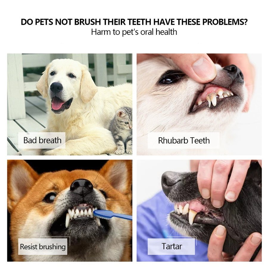 Three Sided Pet Toothbrush