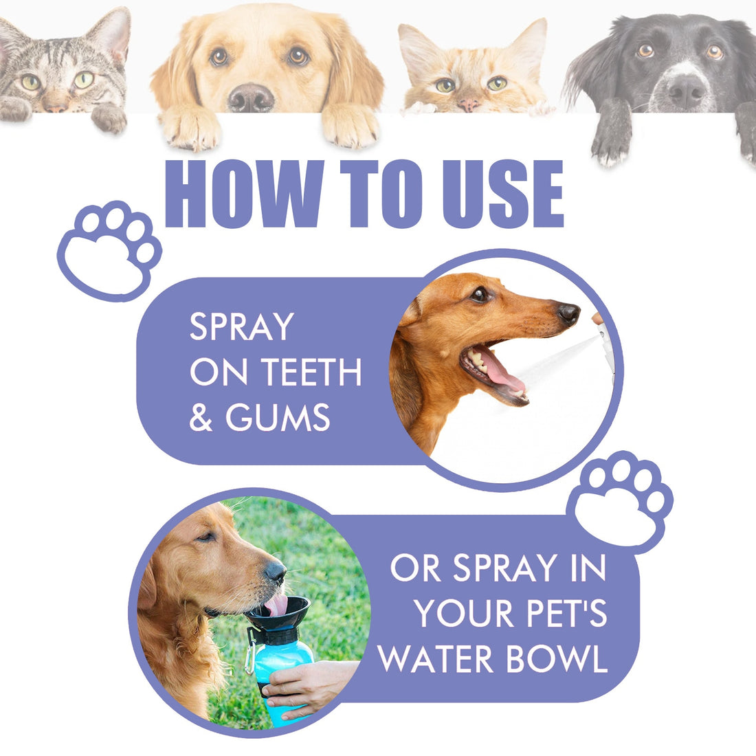 Pet  Teeth Cleaning Spray Oral Care Remove Tooth Stains Keep Fresh Breath for Cats and Dogs Whitening teeth Remove bad breath