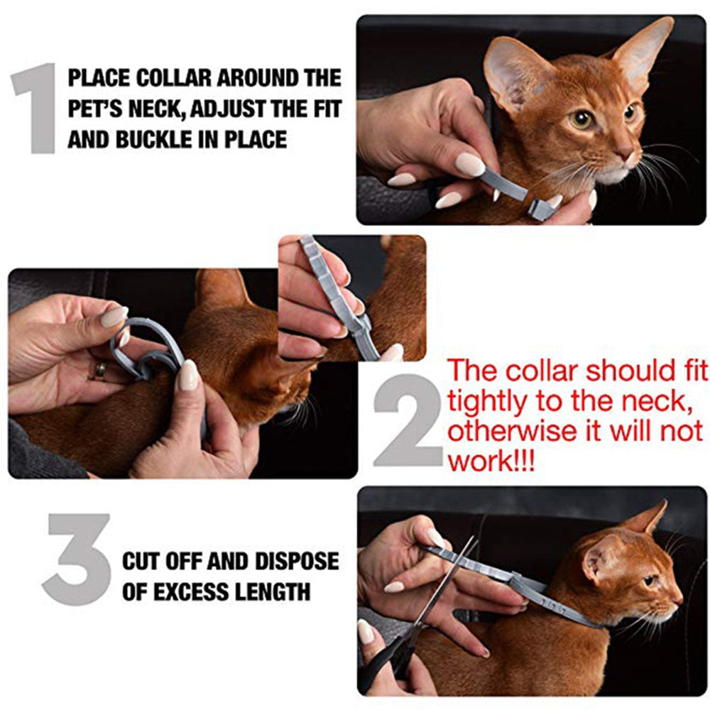 Anti-mosquito & Insect Repellent Pet Collar