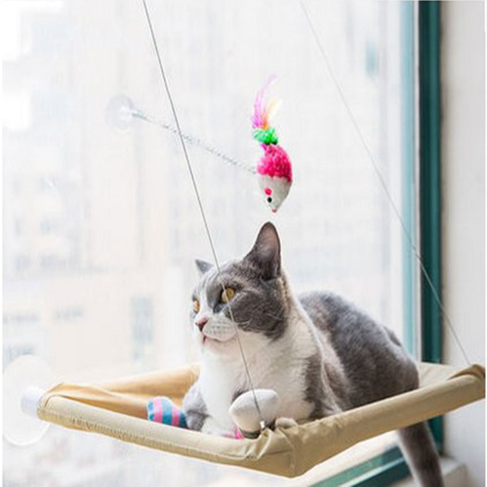 Hanging Window Bed for Pets