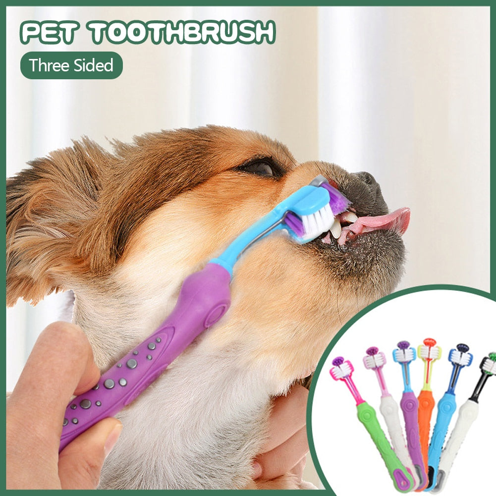 Three Sided Pet Toothbrush