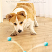 Dog Toy Ball Funny Dog Handy Gadget Self-Heating Relieving Stuffy Teddy/Pomeranian Pet Dog Puppy Intelligent Automatic Dog Walking Ball