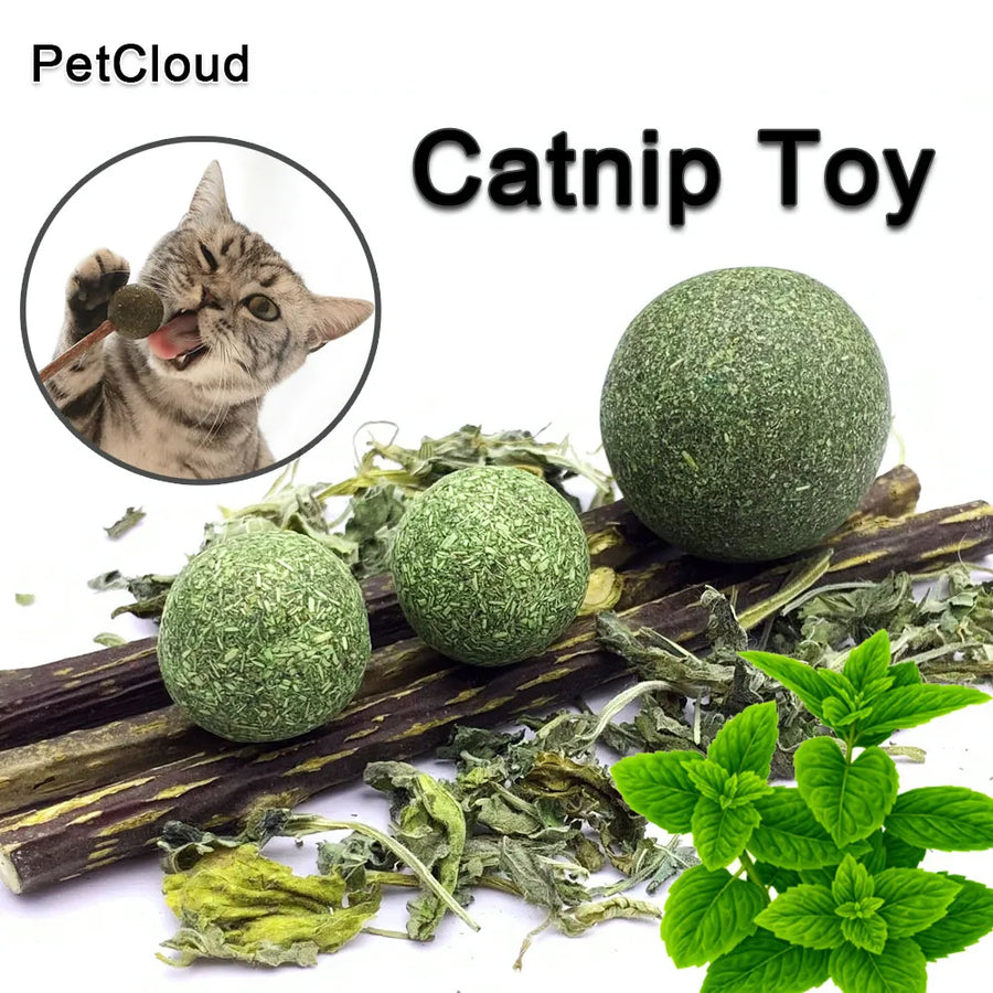 Natural Safety Pet Catnip Toys For Cat Mint Ball Healthy Matatabi Cleaning Teeth Stick Molar Cat Nip Lollipop Catmint Supplies