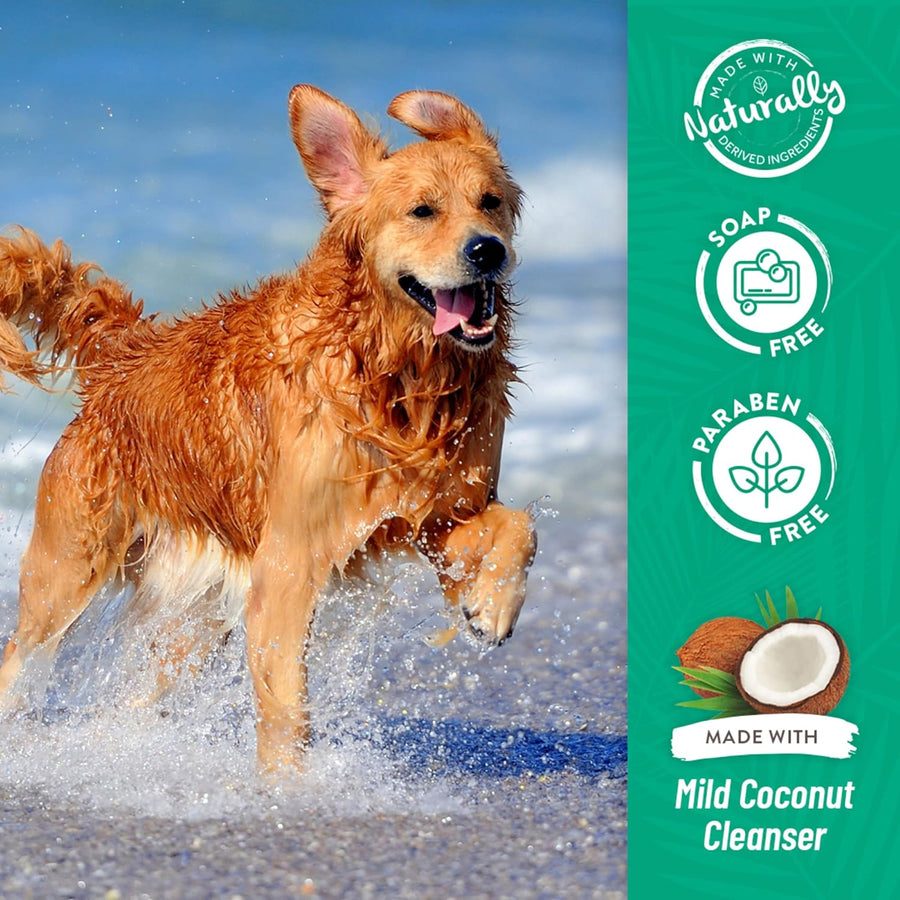 TropiClean 2-in-1 Papaya & Coconut Dog Shampoo and Conditioner | Natural Pet Shampoo Derived from Natural Ingredients | Cat Friendly | Made in the USA | 20 oz.