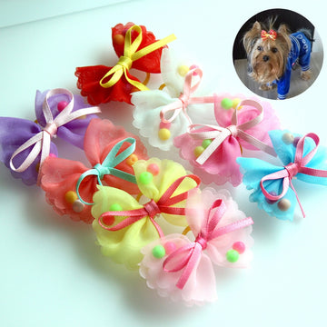 Cute Chiffon Dog Hair Accessories