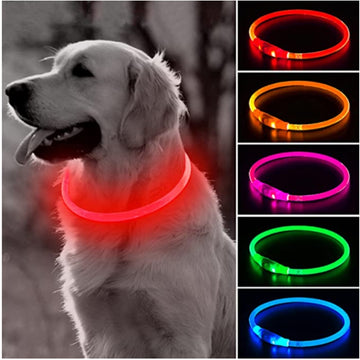 Glowing LED Dog Collar Leash